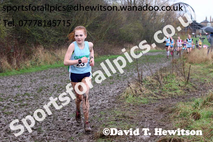 Intermediate girls Northern Inter Counties Schools Cross Country, Stockton. Photo: David T. Hewitson/Sports for All Pics